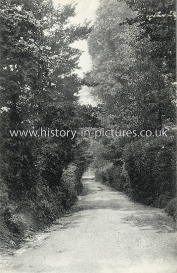 Skinner's Lane, Ashstead, Kent.c.1906